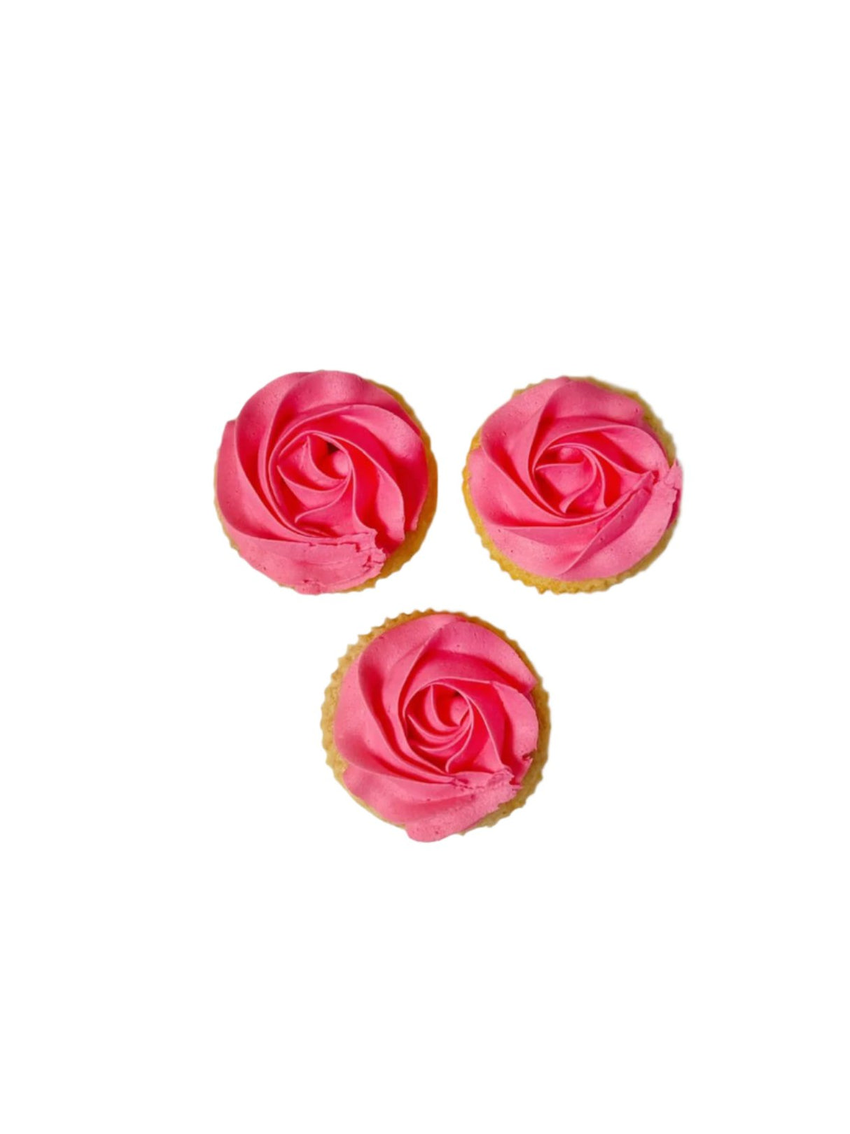 Iced Cupcakes