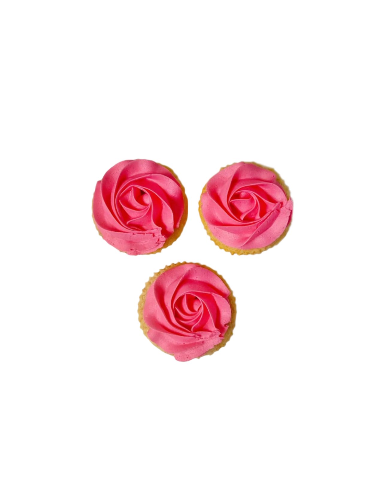 Iced Cupcakes