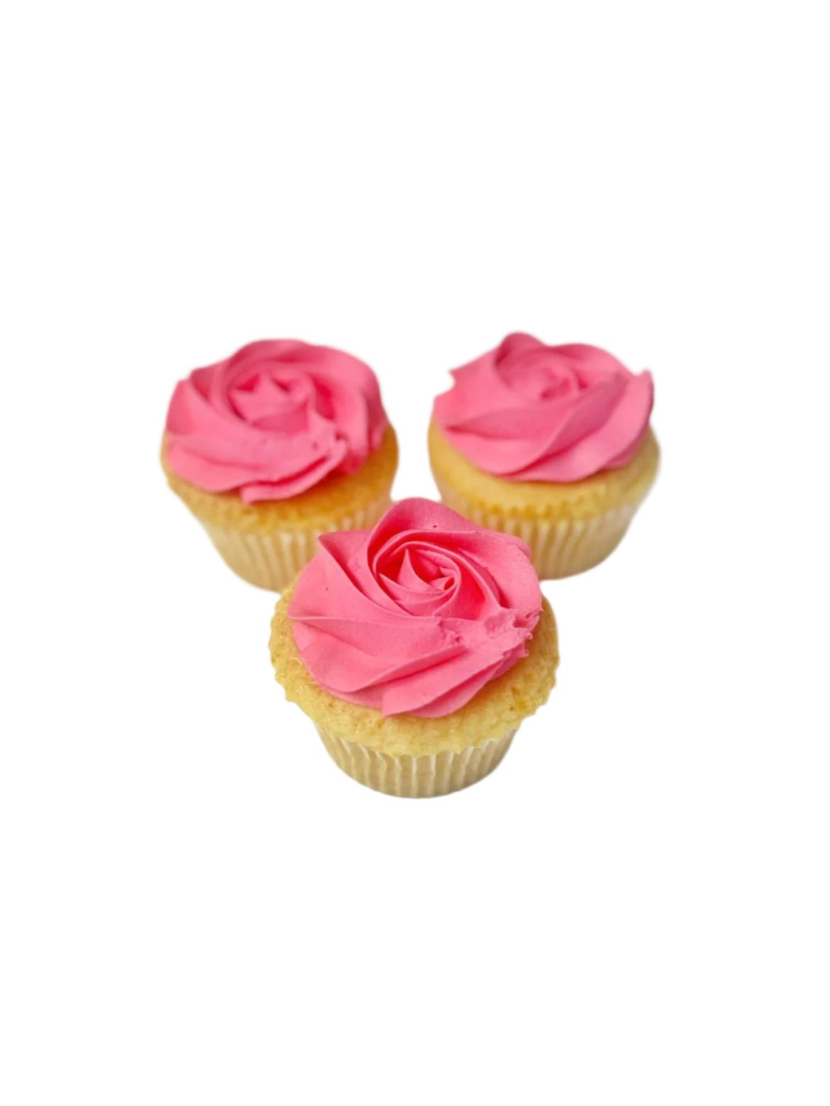 Iced Cupcakes