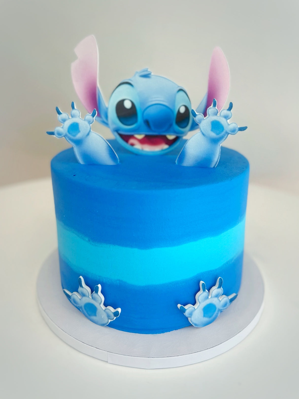 Stitch Cake
